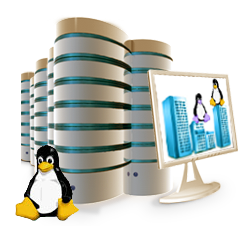 Linux Dedicated Server Hosting Ahmedabad
