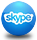 skype-Web Development